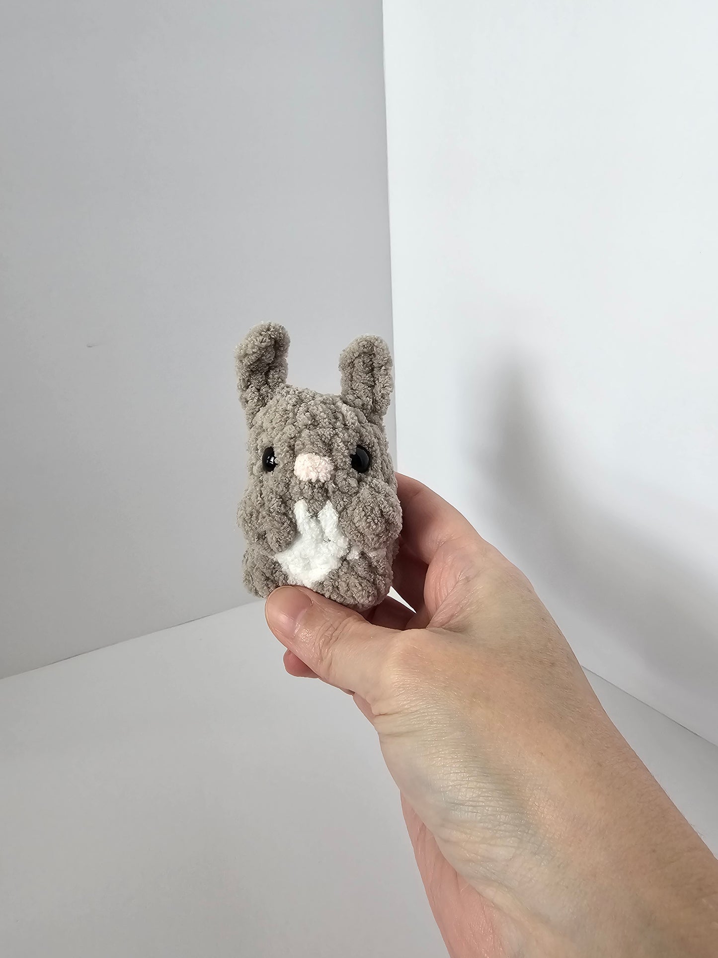 Peter the Mini Bunny