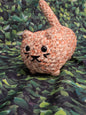 Chester the cat