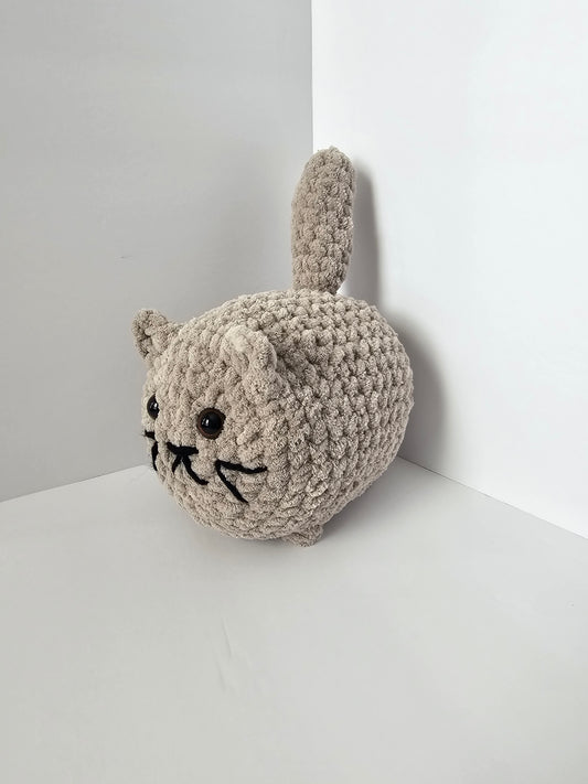 Bernadette the Cat