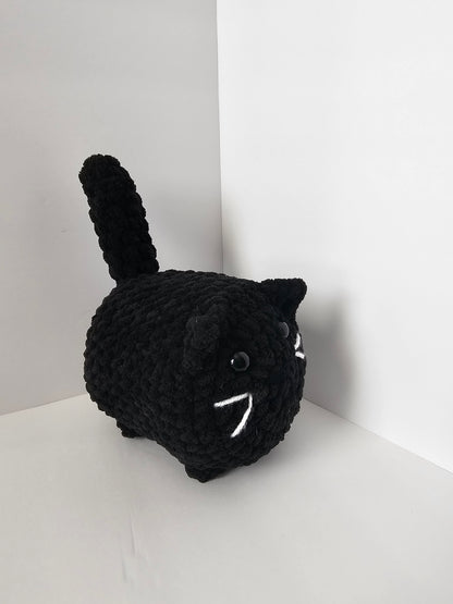 Binx the Cat