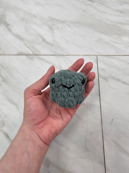Milo the Mini Frog