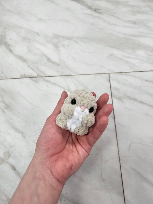Chuck the Mini Hamster