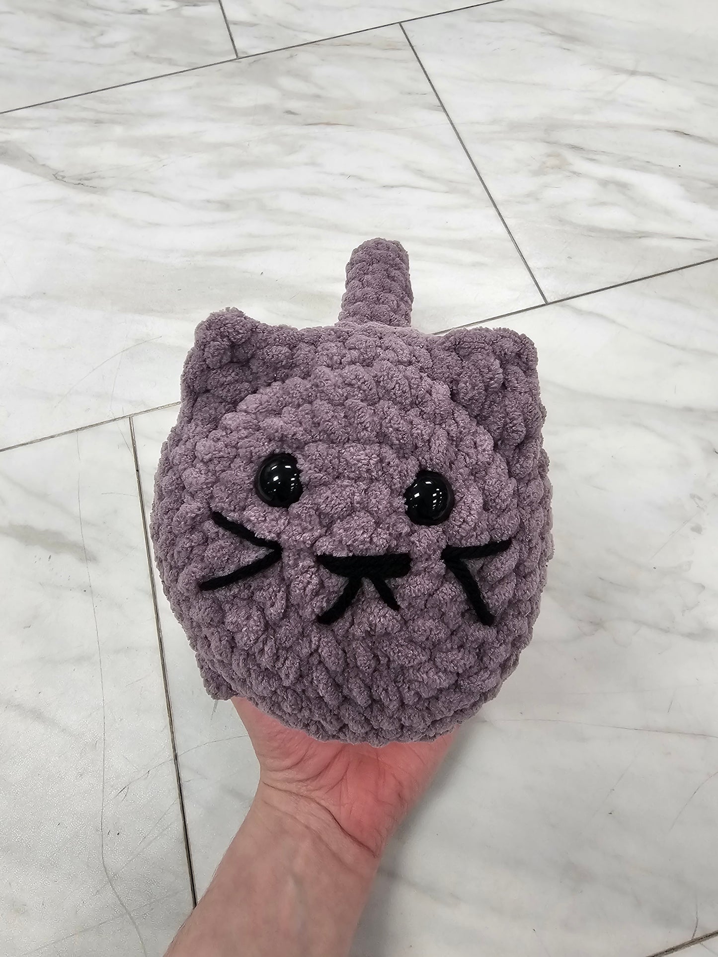 maggie the cat
