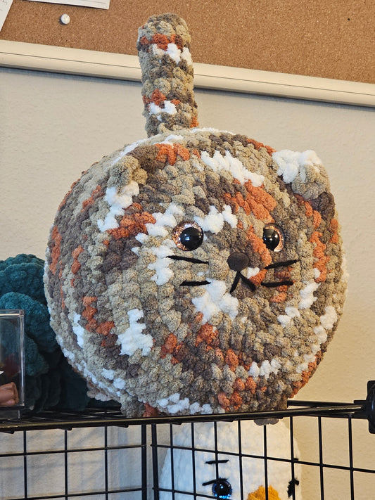 Wade the Cat