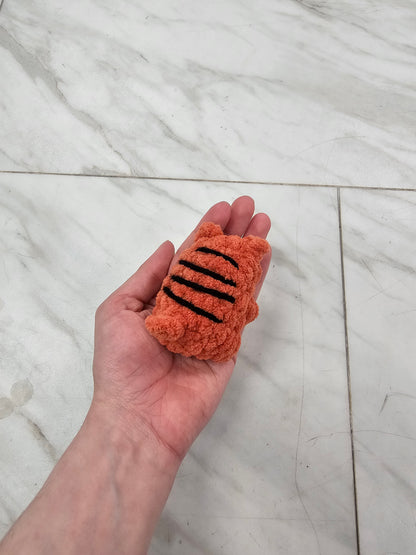 Amber the Mini Cat