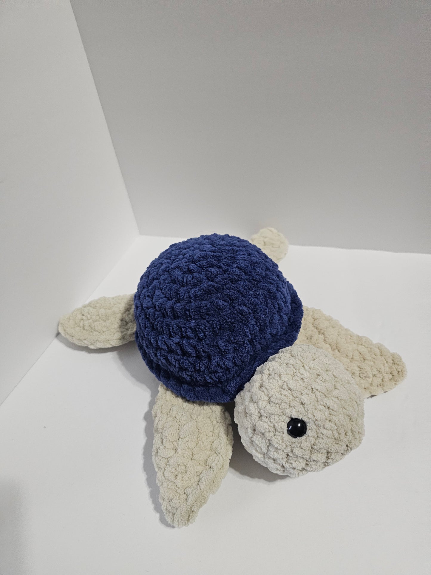 Sandy the Turtle