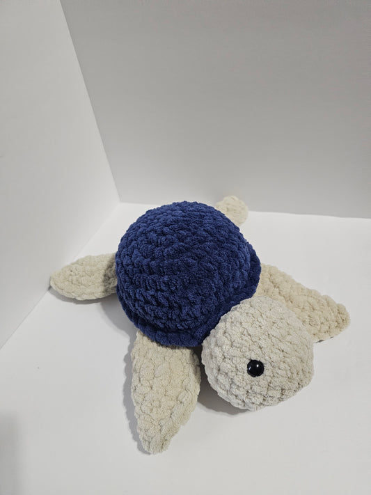 Sandy the Turtle