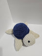 Sandy the Turtle