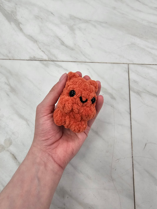 Amber the Mini Cat