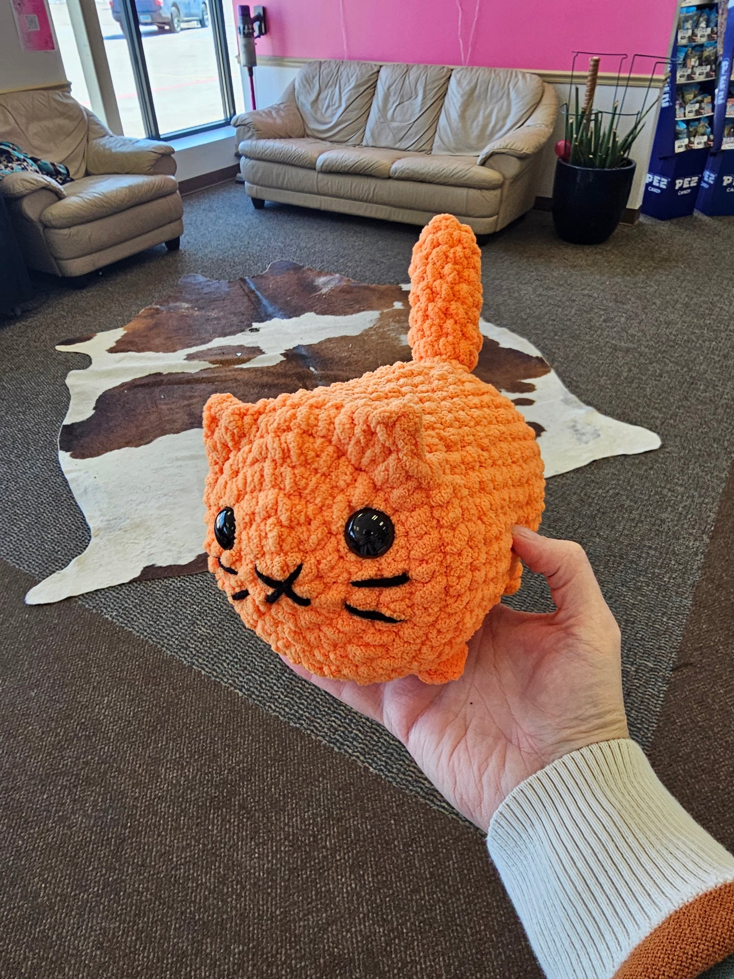 Javen the Cat