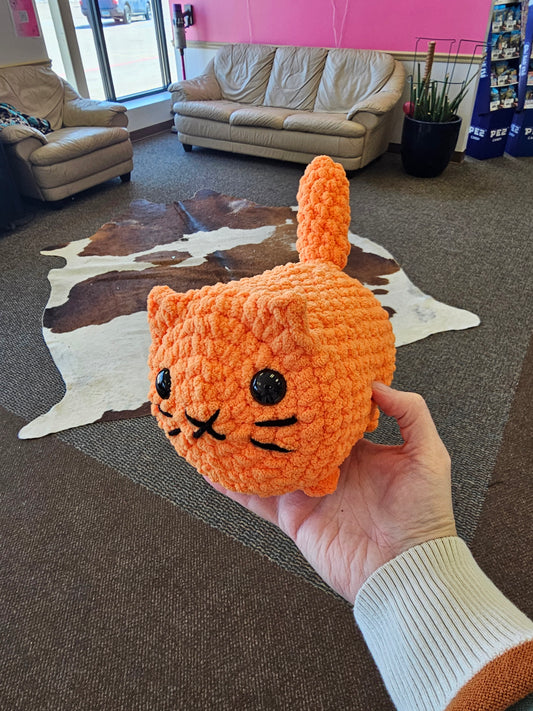 Javen the Cat