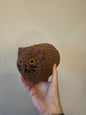 alfie the cat