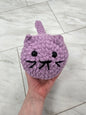 Elena the Cat