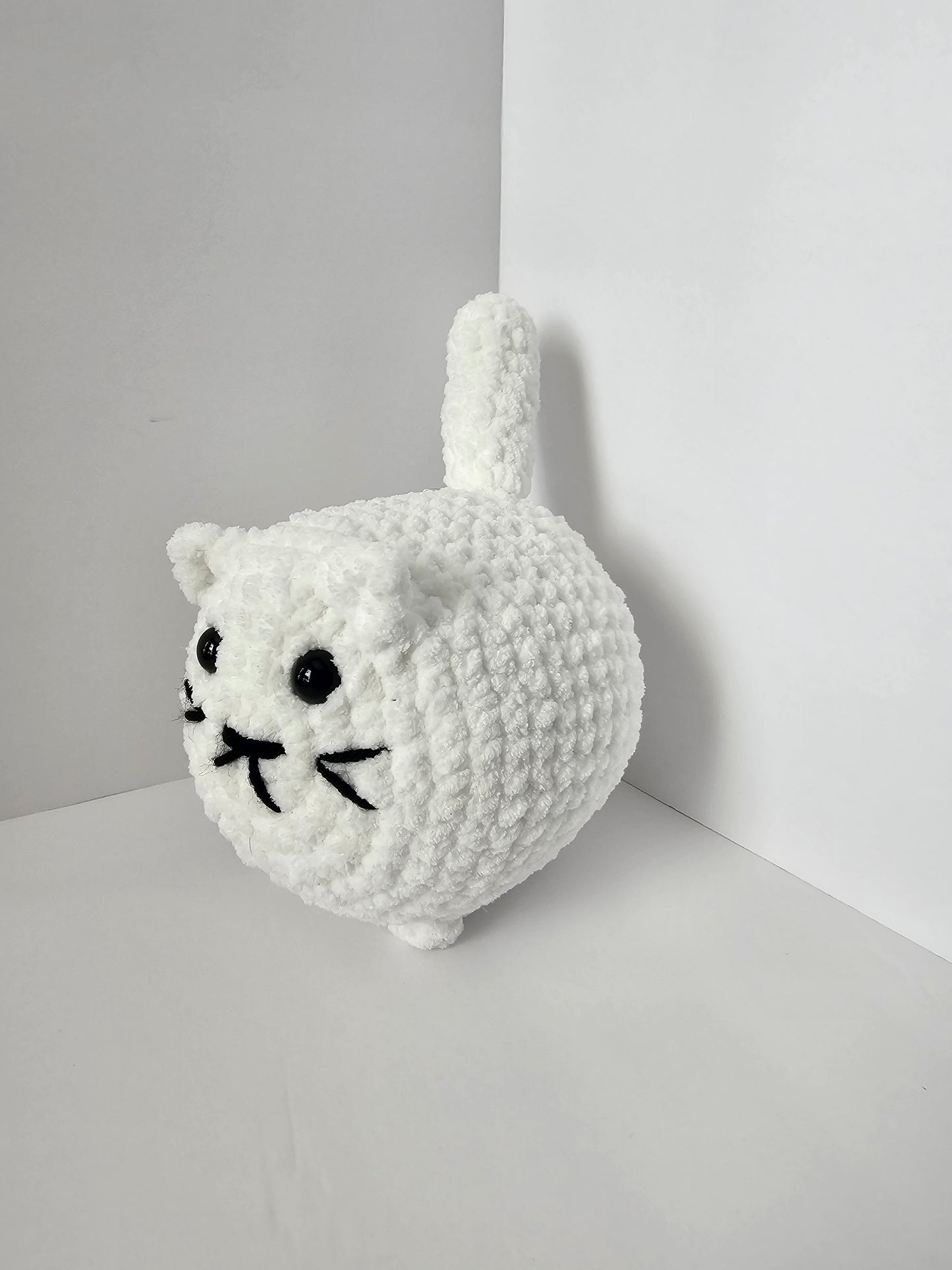 Momo the Cat