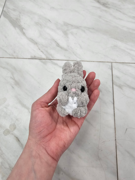 Peter the Mini Bunny