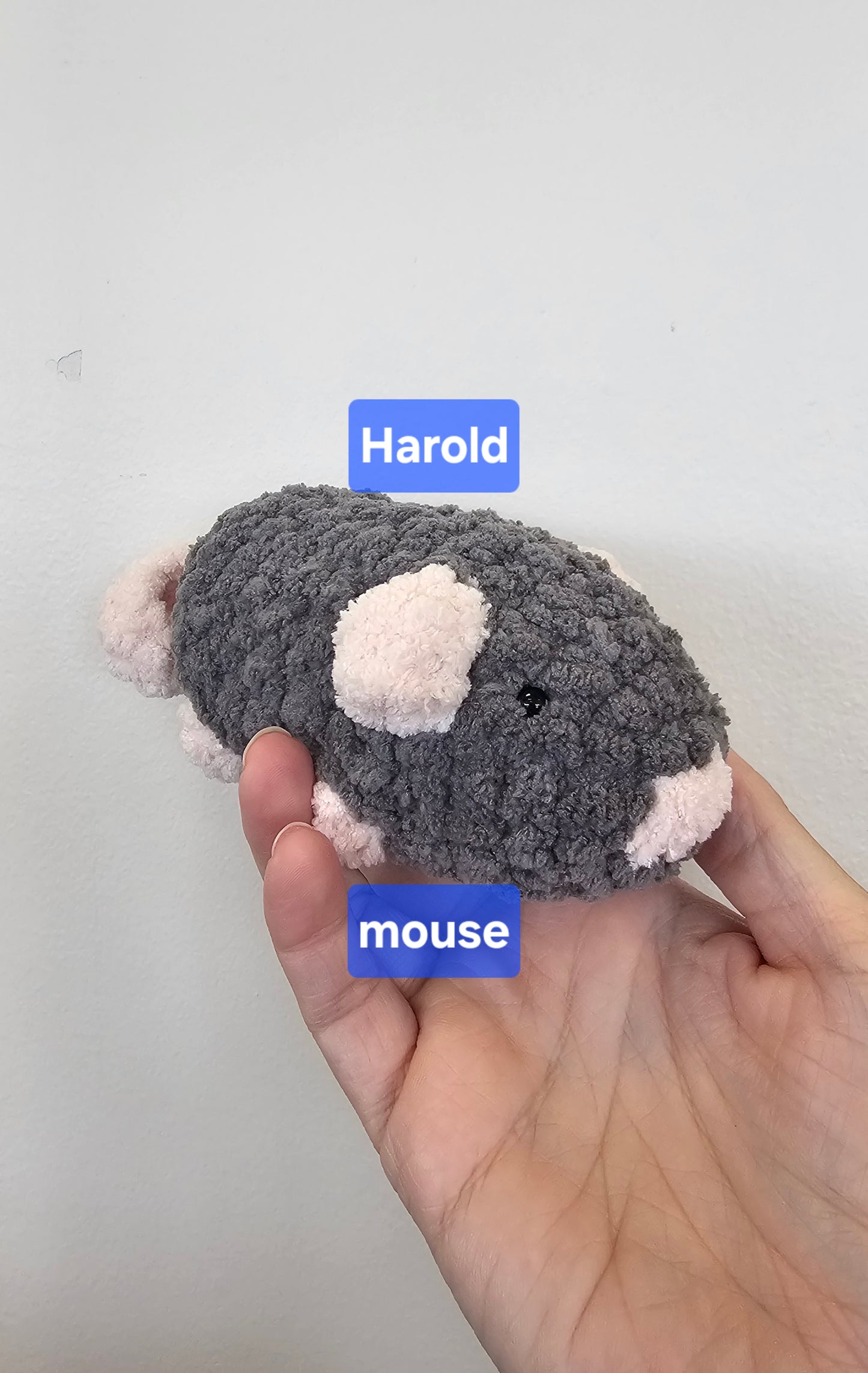 Harold mouse