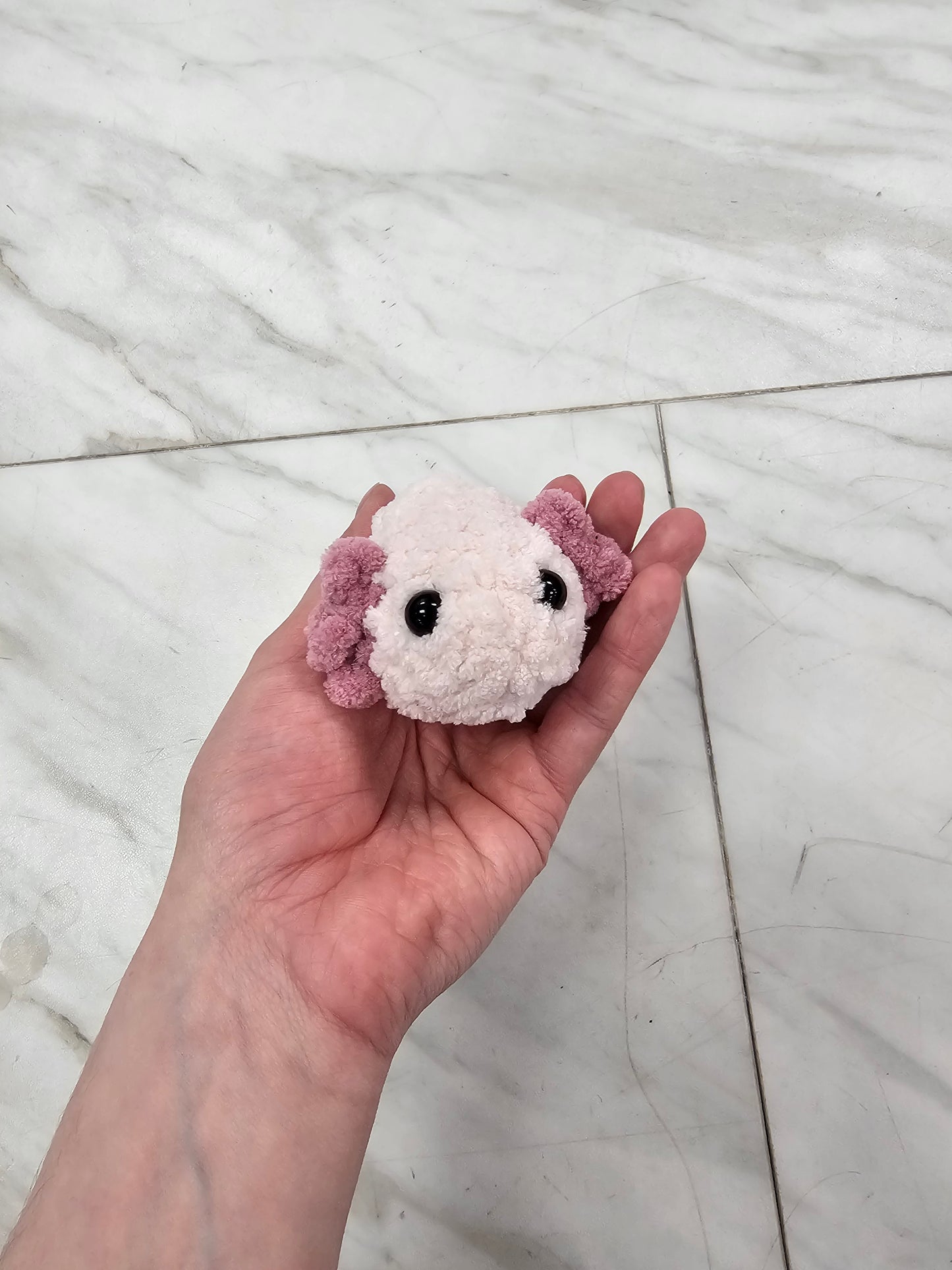 Quill the Mini Axololt