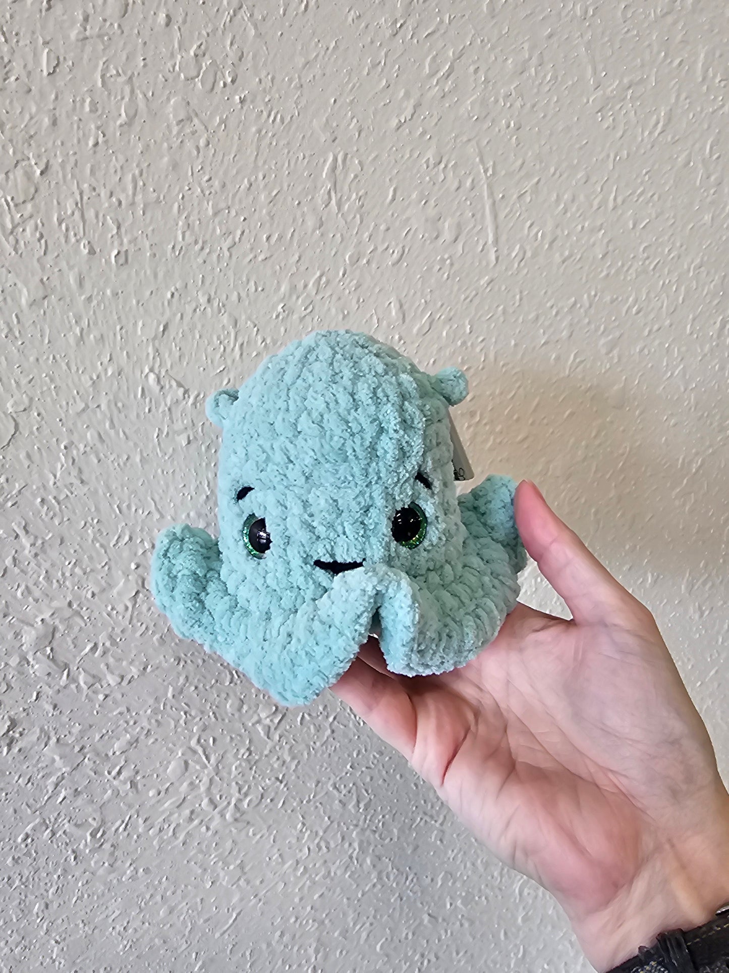 Mint Dumbo Octopus