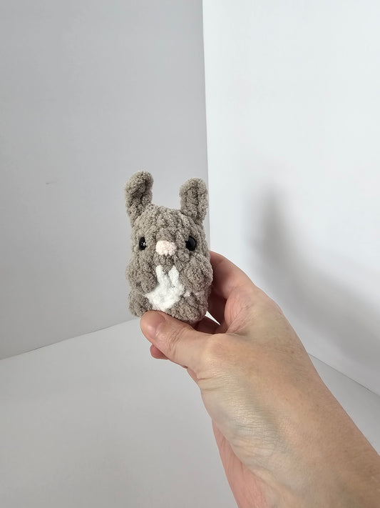 Peter the Mini Bunny