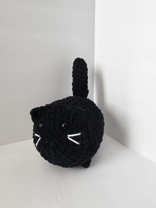 Binx the Cat