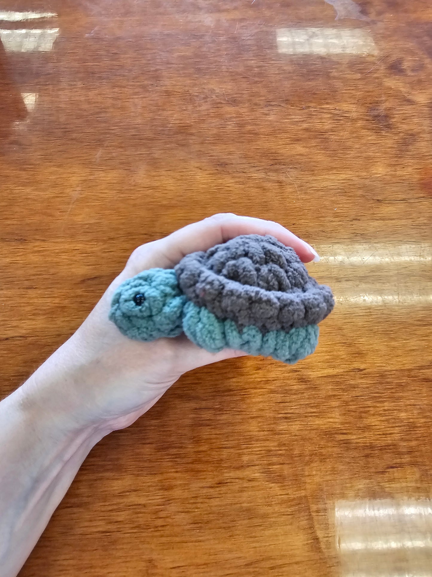Allen the Mini Turtle
